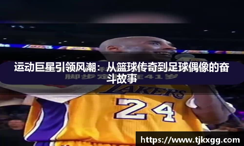 星空体育(中国)官方网站