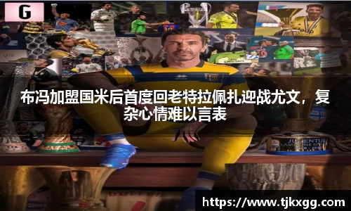 星空体育(中国)官方网站
