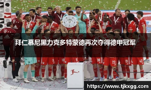 星空体育(中国)官方网站