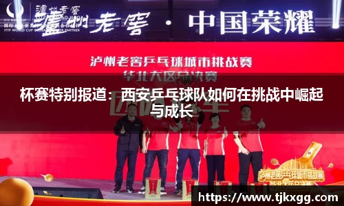 星空体育(中国)官方网站