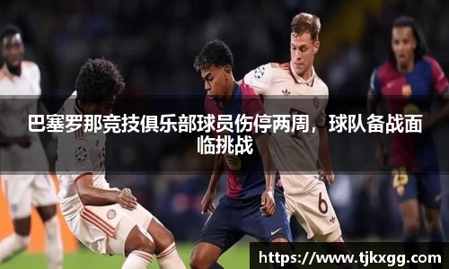 星空体育(中国)官方网站