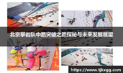 星空体育(中国)官方网站