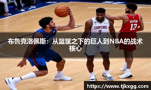 布鲁克洛佩斯：从篮筐之下的巨人到NBA的战术核心